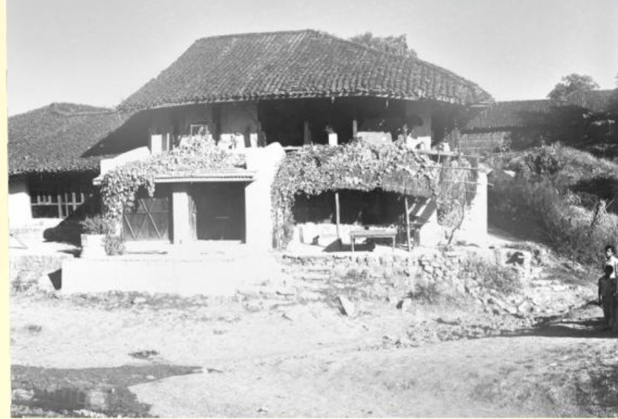 OSHO Birth House